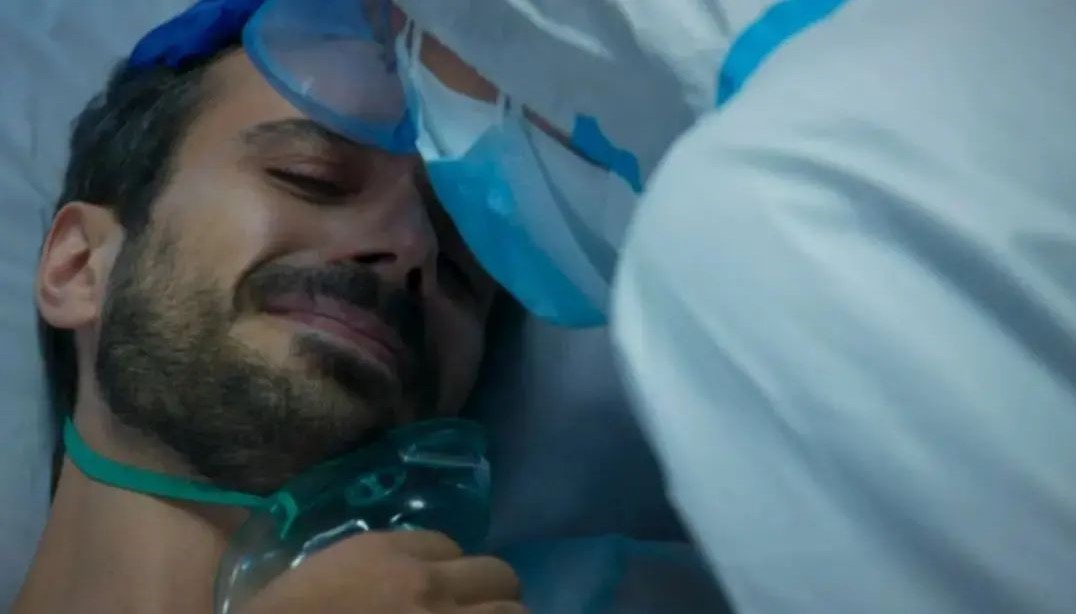 doc nelle tue mani cane blu