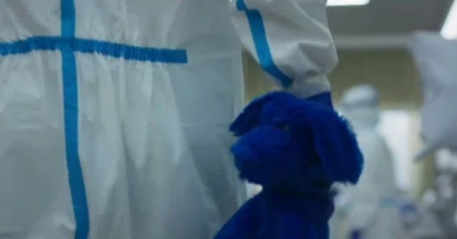 doc nelle tue mani cane blu