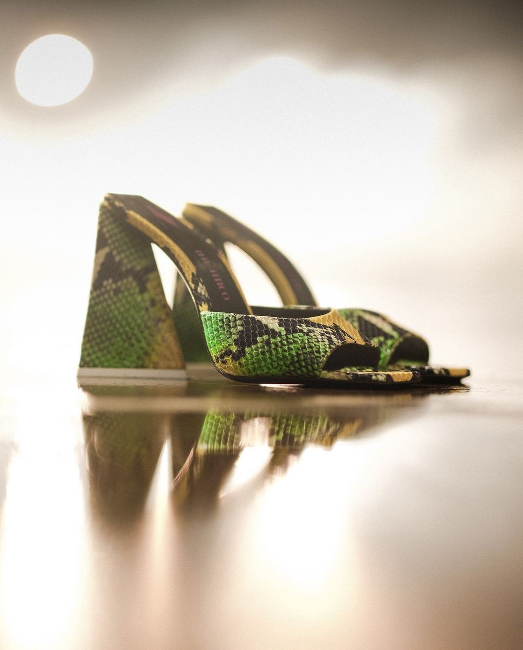 stampa snake tendenza 2022