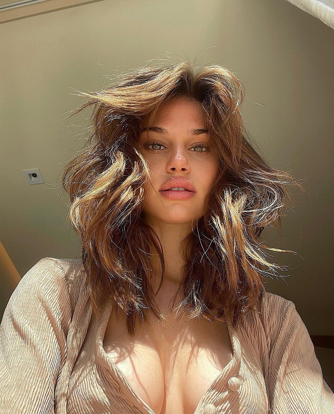 Chi &egrave; Meredith Mickelson