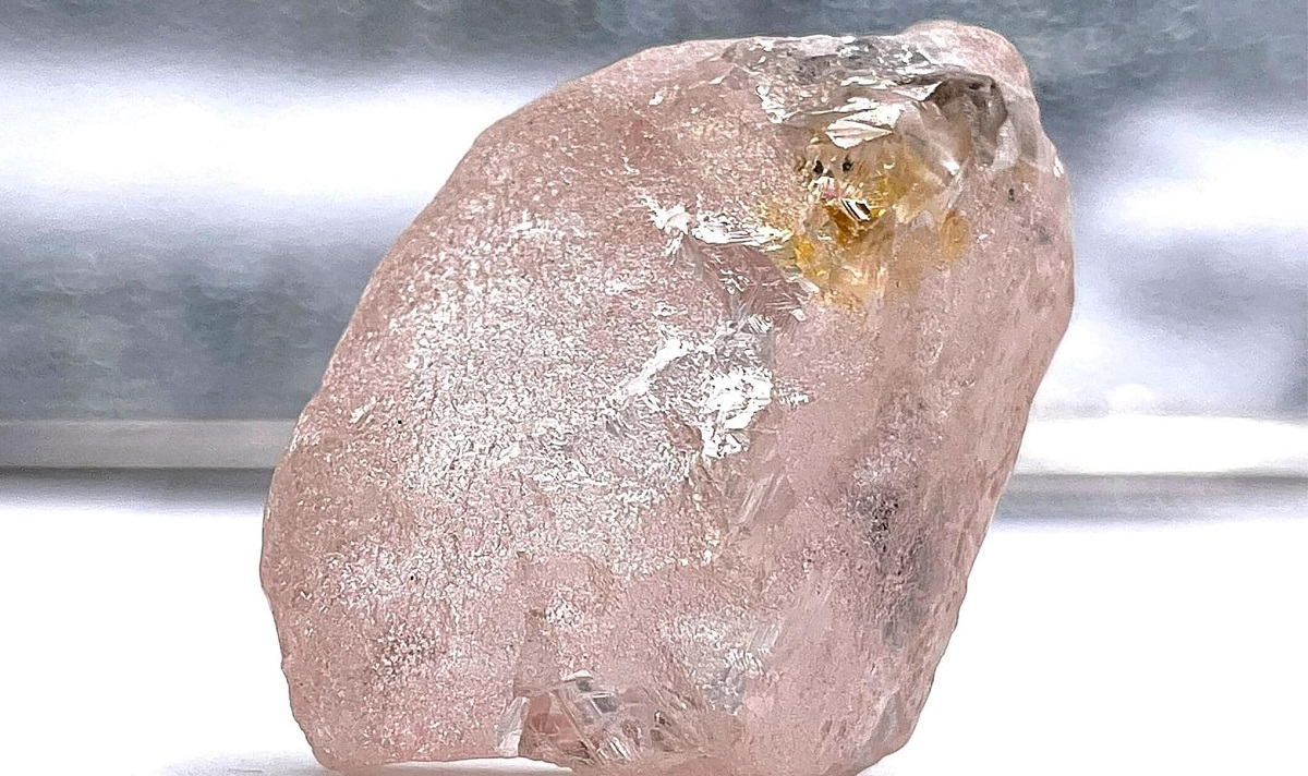 Il prodigioso "Lulo Rose"