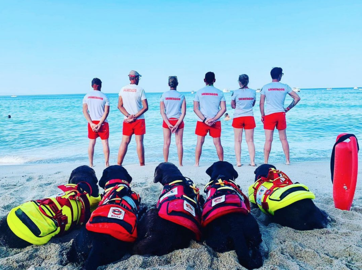 Pedalò affonda, cani bagnini salvano cinque ragazzi