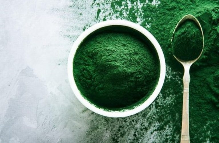 alga spirulina