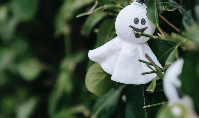 pexels charles parker 5859347