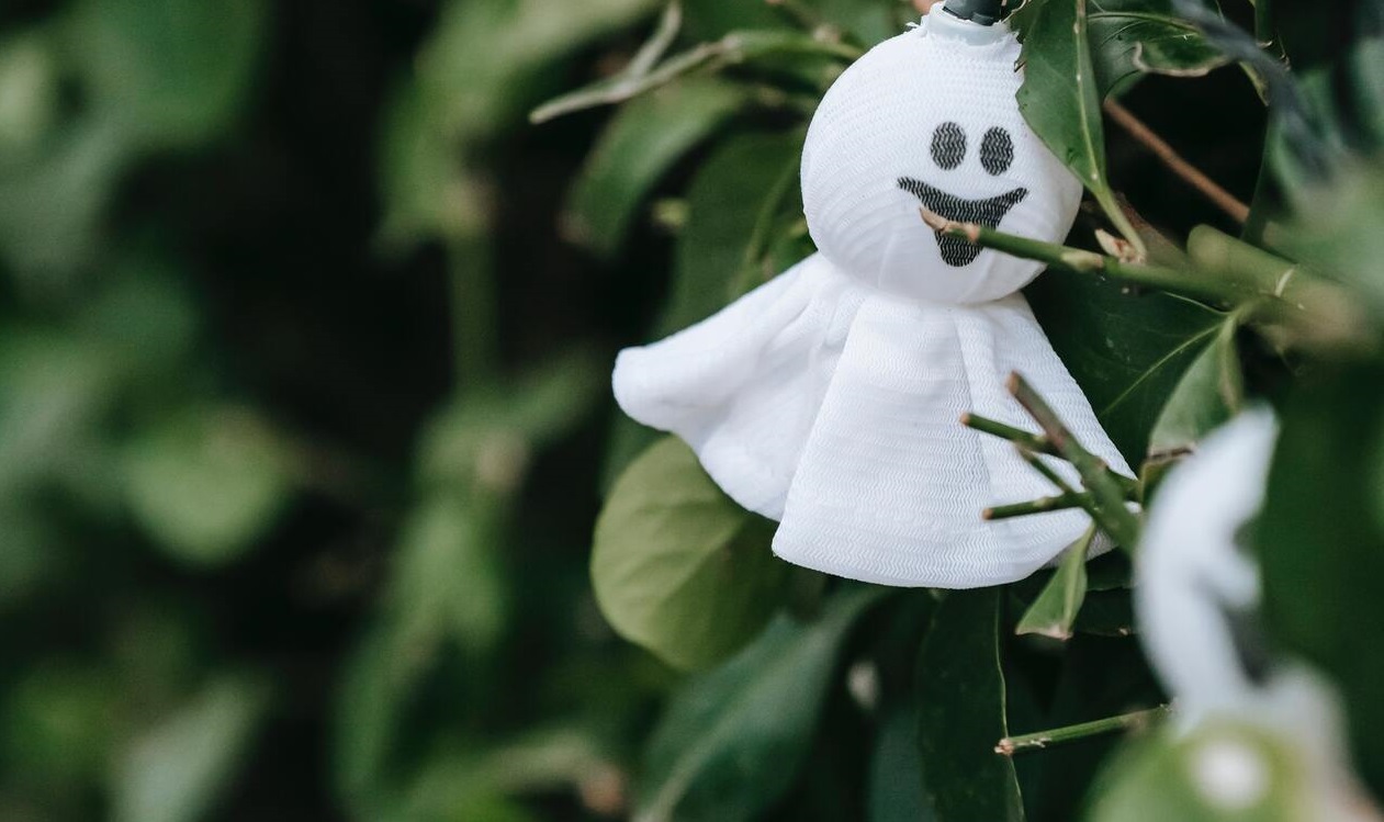 pexels charles parker 5859347