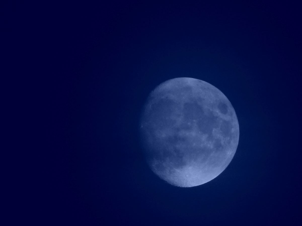 josie weiss lc tmdzde1c unsplash