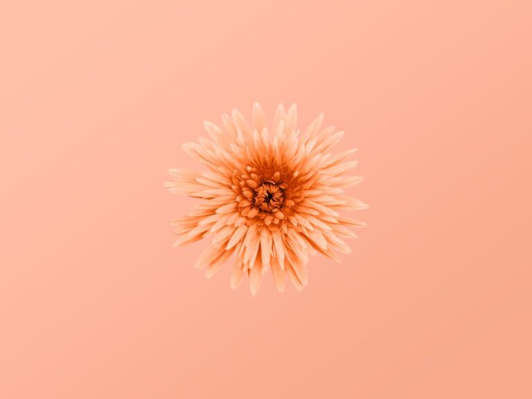 Peach Fuzz: come indossare il colore Pantone 2024 secondo l'armocromia