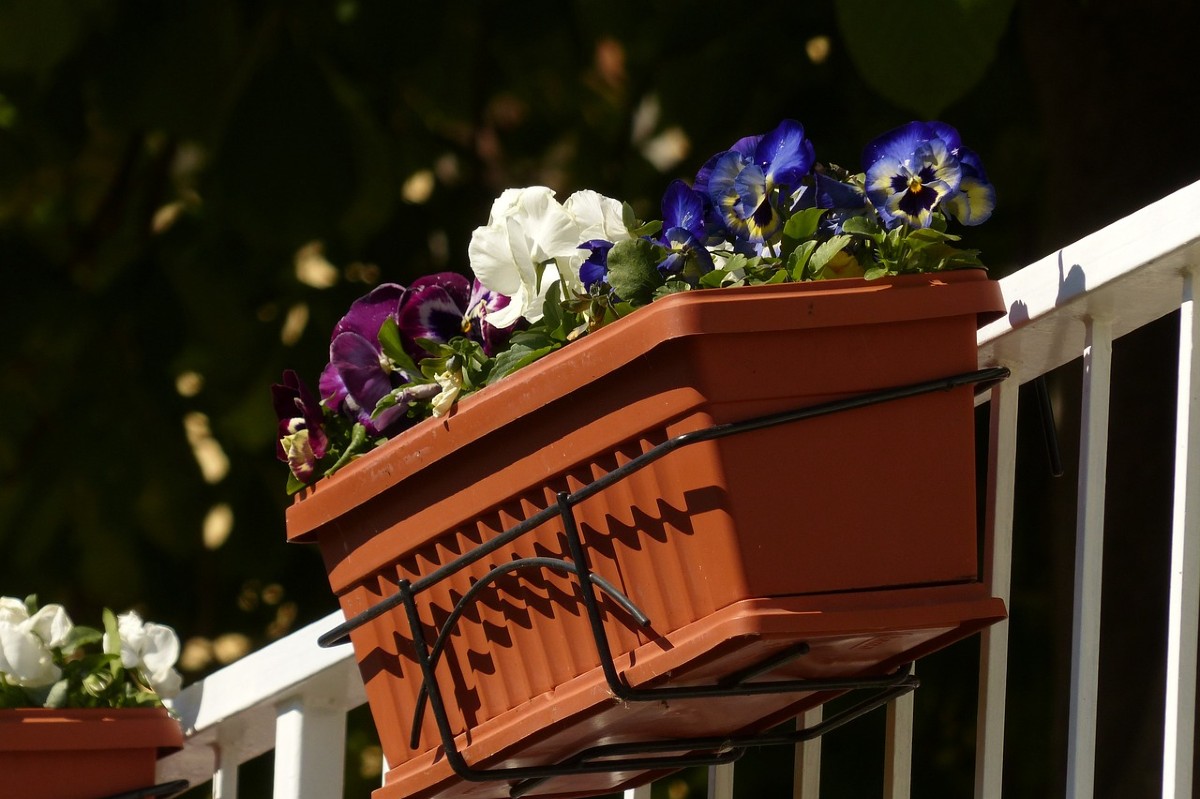 image 4bc3155d 58f9 4eb7 bf16 e2e4514bc588