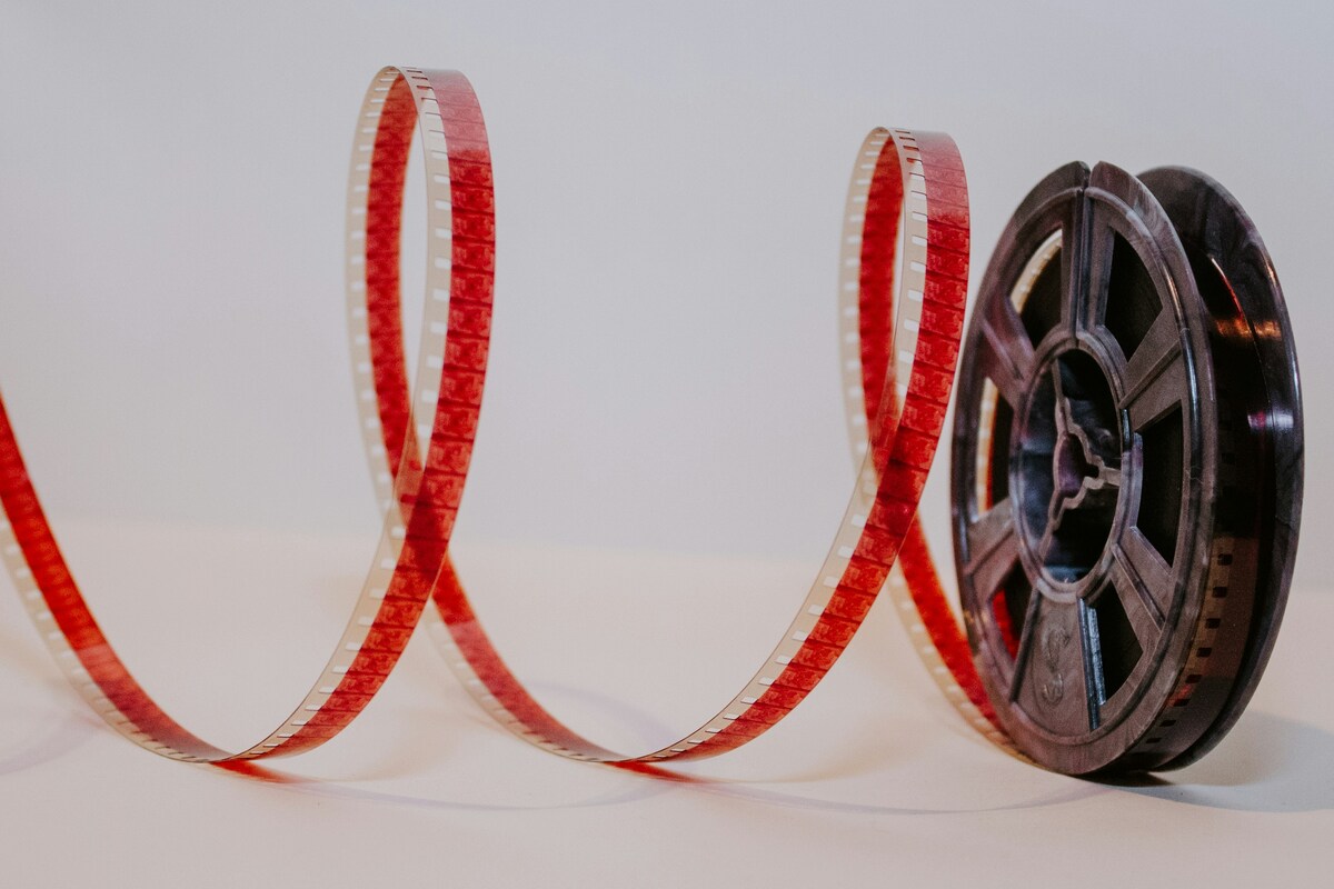 La teoria del tutto: trama, cast, storia vera