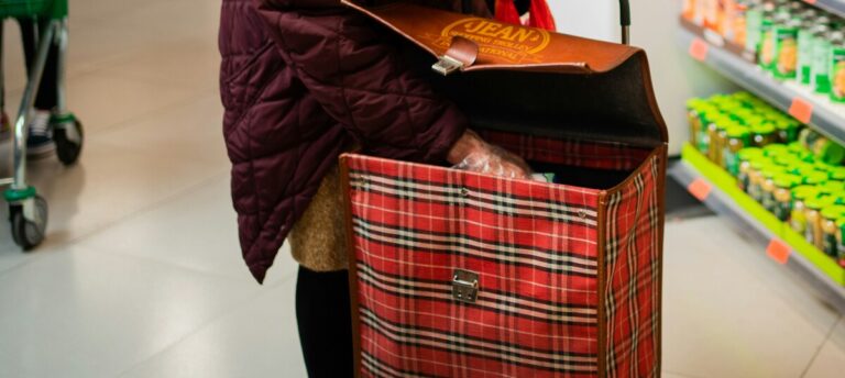 Il trolley per la spesa: tutto sul nuovo accessorio diventato trend sui social