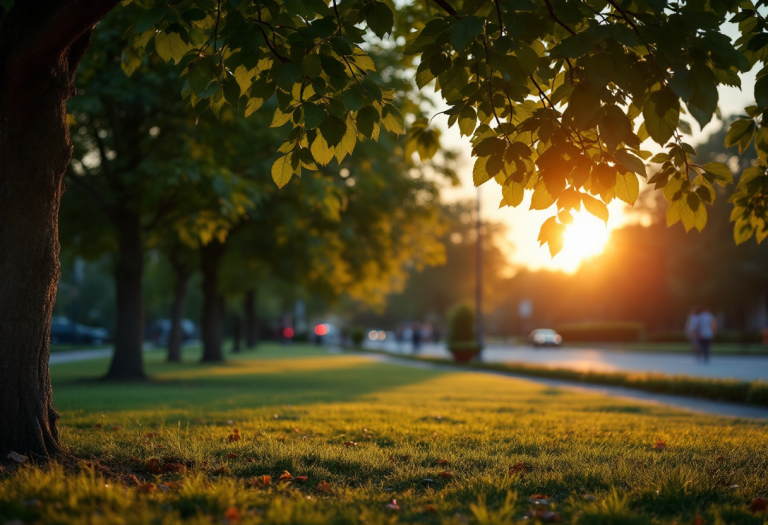 Francesco Favaretto in cerca di serenità e pace