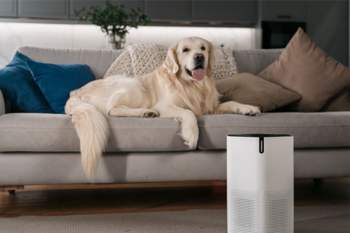 image 38a47ec6 b7c8 47fd a7e9 c97ccd079ef7