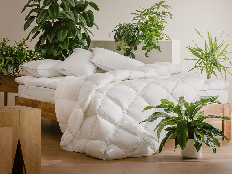 thumbnail donnemagazine