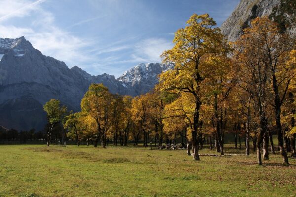 Siusi allo Sciliar tra natura, sapori e tradizioni: idee per settembre e ottobre