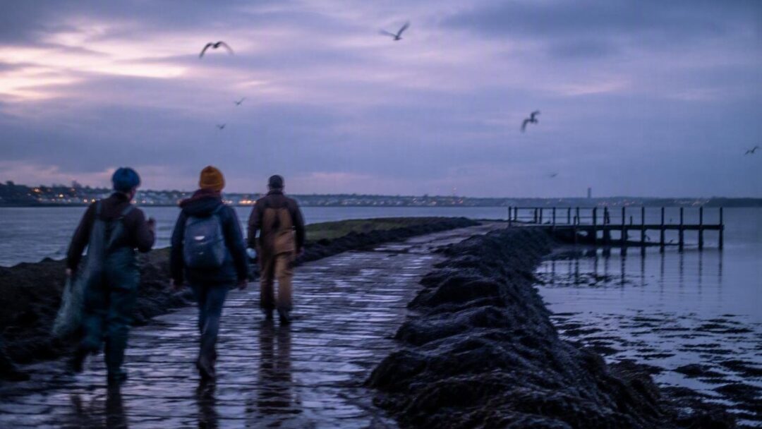 Kildare Island: la storia dietro la spaccatura sociale in Outer Banks