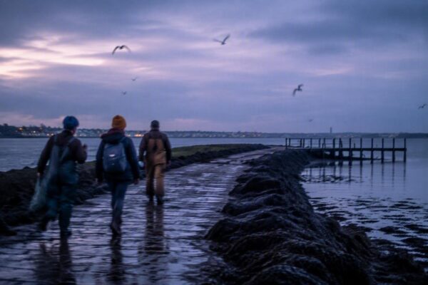 Kildare Island: la storia dietro la spaccatura sociale in Outer Banks