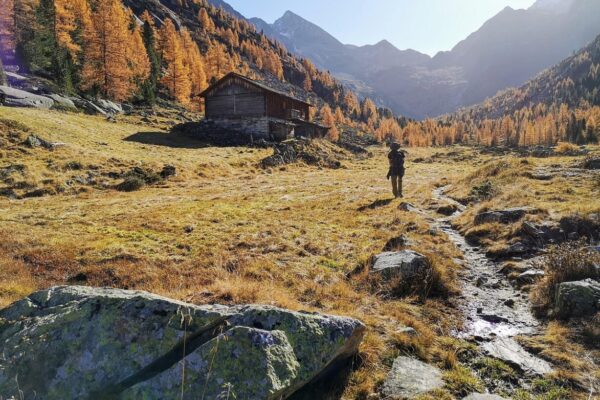 Autunno in Alto Adige con i bambini: idee per una vacanza in montagna