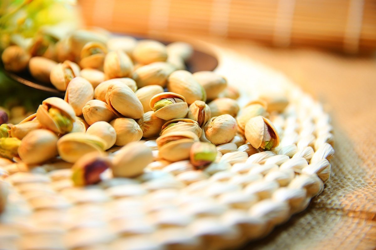 pistachio postre chocolate