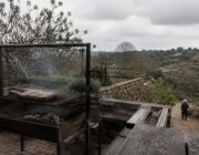 Domina el arte de la parrilla: cortes, temperaturas y reposo