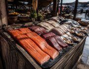 Guía definitiva para elegir pescados y mariscos frescos