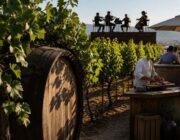 Vendimia en Málaga y Verdú: chefs, tradición y música