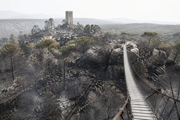 Incendios forestales y olas de calor: la crisis climática azota Europa en 2026