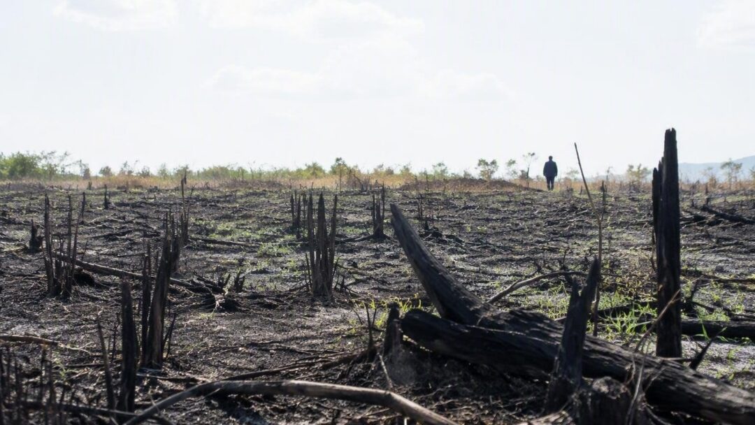 Tolima en llamas: autoridades investigan causas de los incendios forestales