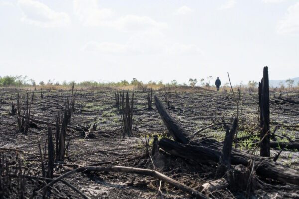Tolima en llamas: autoridades investigan causas de los incendios forestales