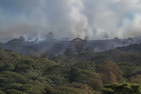 Emergencia por incendio forestal en Ábrego, Norte de Santander