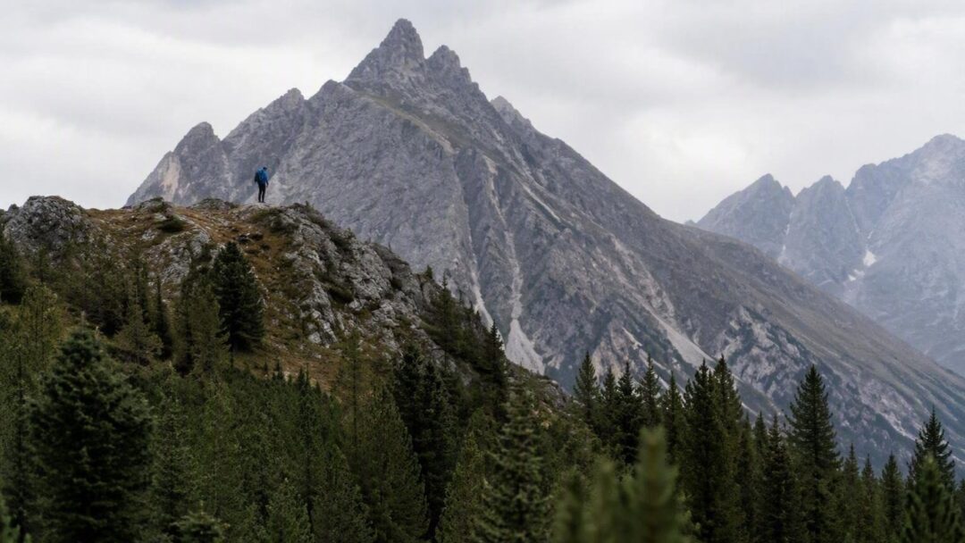 Citizen science e conservazione: come il Parco Nazionale dello Stelvio unisce ricerca e turismo