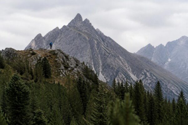 Citizen science e conservazione: come il Parco Nazionale dello Stelvio unisce ricerca e turismo