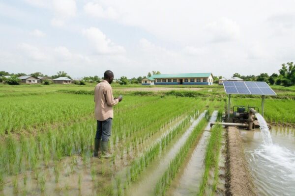 Progressi lenti verso gli SDG: l'Africa deve accelerare per il 2030