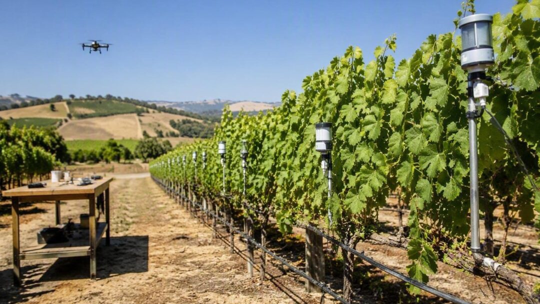 Tecnologie per ridurre acqua e fitosanitari nei vigneti
