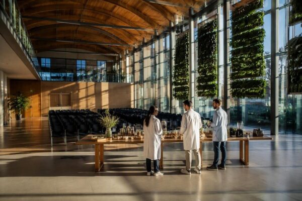 Workshop Udine su filiere sostenibili, proteine vegetali e design AI
