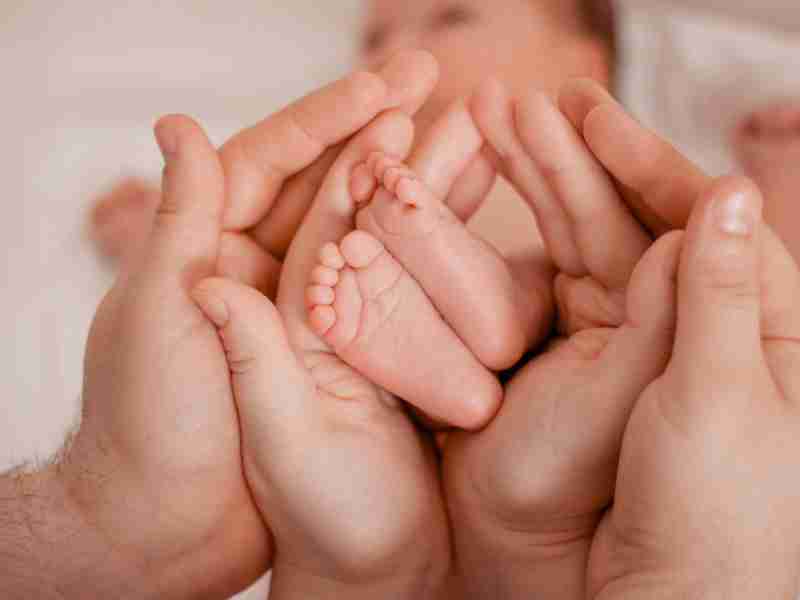 Guía del INPS Stork Bonus 2024: lo que necesita saber