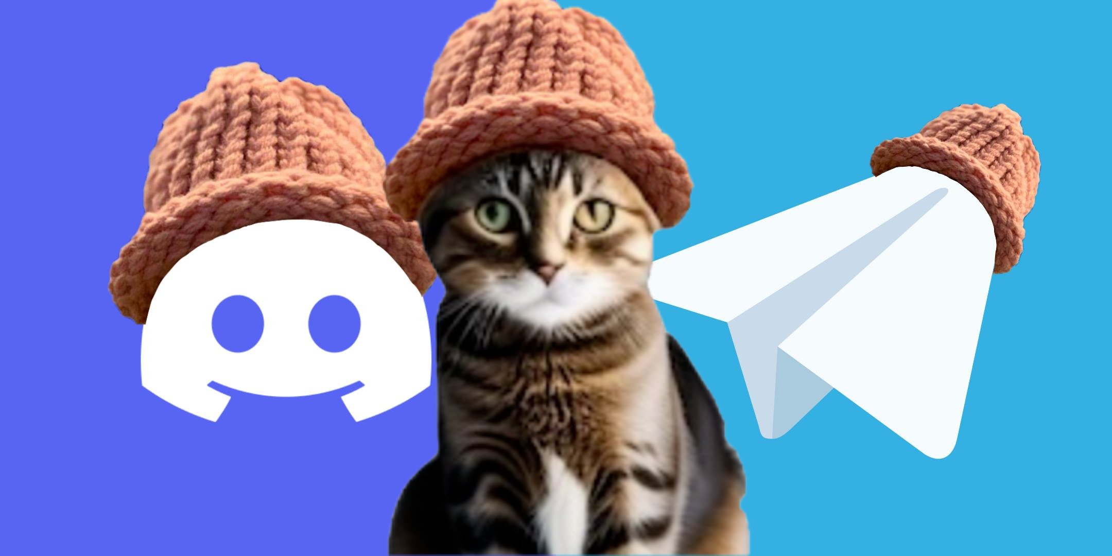 Las mejores memecoins para gatos para comprar en junio de 2024
