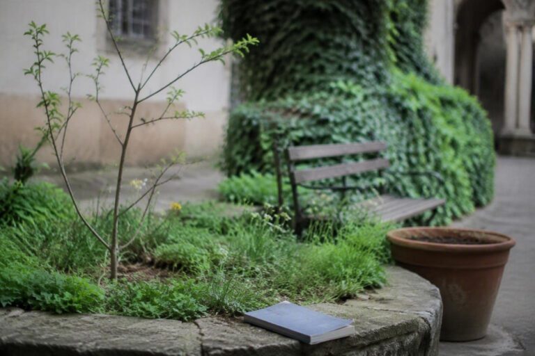 Comune di Borgo San Lorenzo valuta cessione di porzioni di verde pubblico