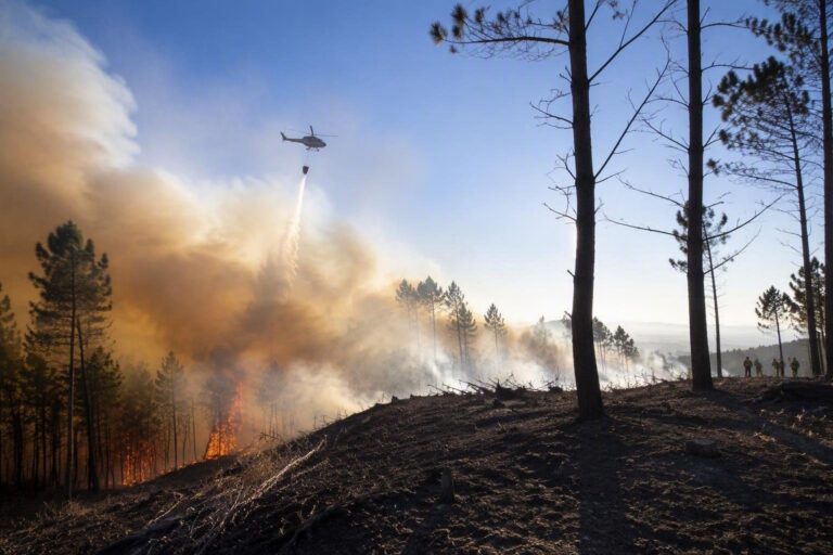 Incendio boschivo a San Donato in Poggio: dettagli e aggiornamenti