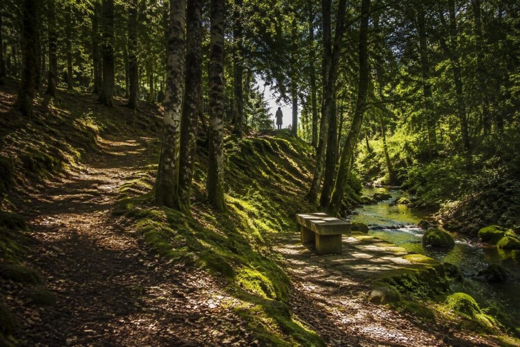 Biodiversity Friend Forest–Therapy approvata per Mondeggi