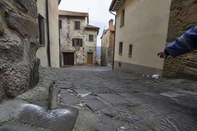 Fiesole: terzo caso di dengue e intervento di disinfestazione urgente