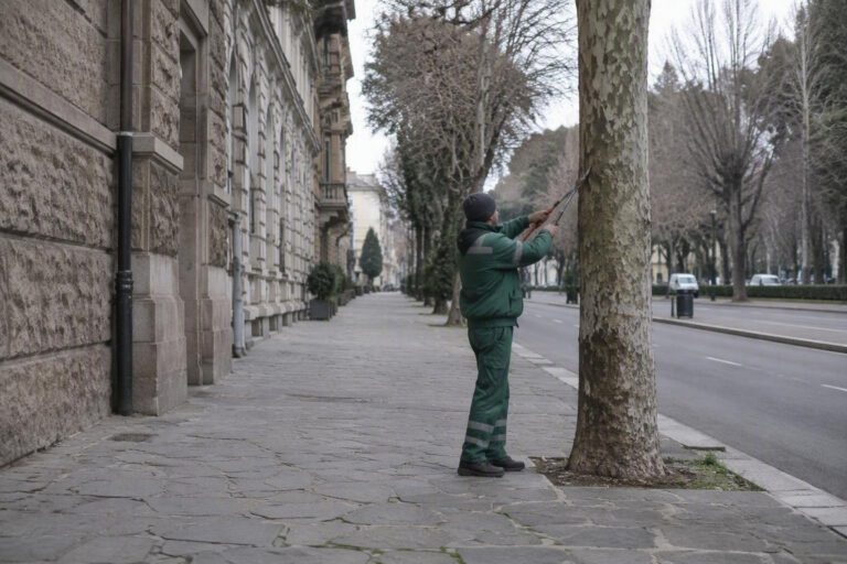 Il consigliere della Lega critica il taglio di vegetazione a Firenze