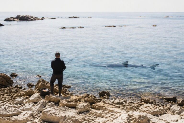 Marco Volpi affronta un enorme mako a pochi chilometri dalla costa
