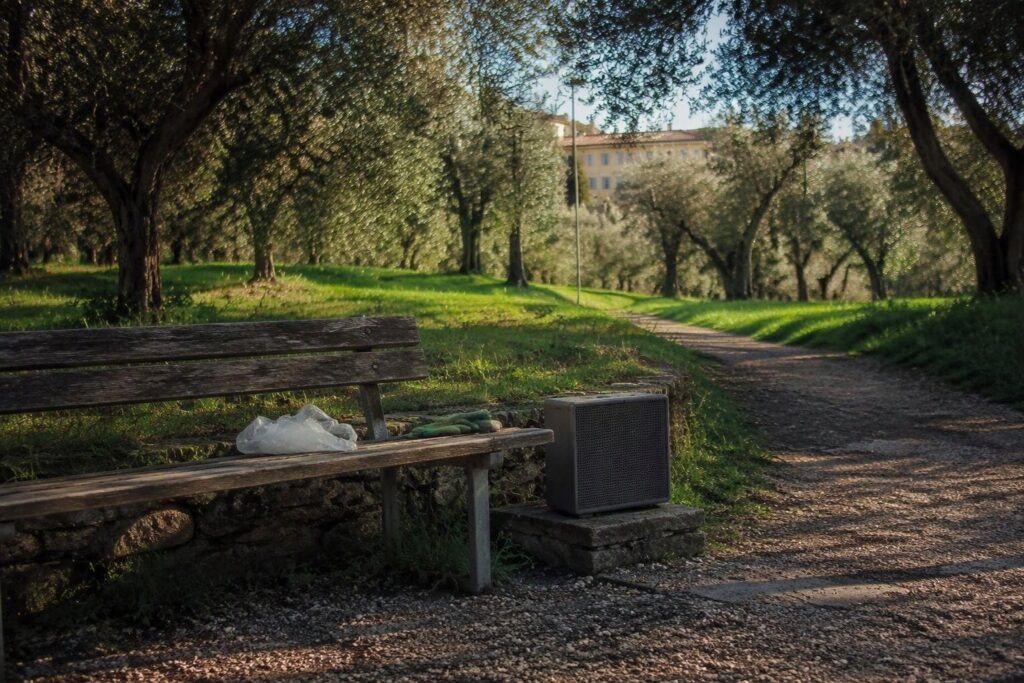 Consiglieri di Via Nova spingono per un Oliveta più curato