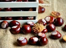 come cuocere le castagne al forno a microonde 1