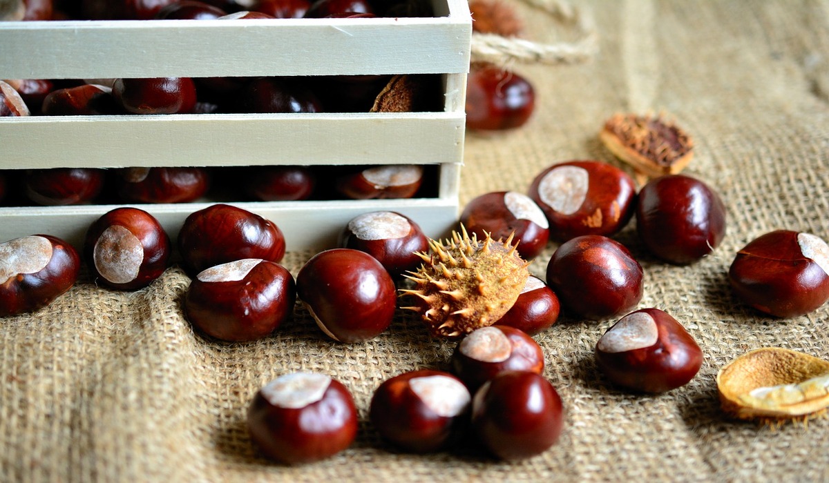 come cuocere le castagne al forno a microonde 1