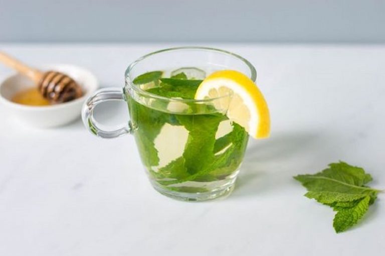 decotto alla menta