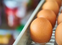 tempo conservazione uova in frigo
