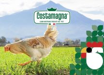 Pollo allevato a terra