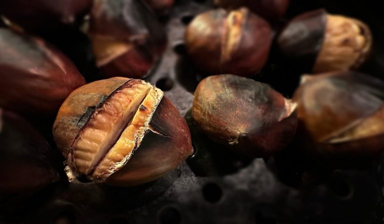 castagne forno perfette 1