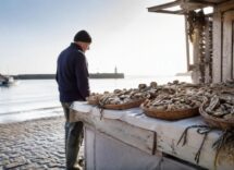 Ostriche fresche a Cancale: un viaggio culinario indimenticabile in Bretagna